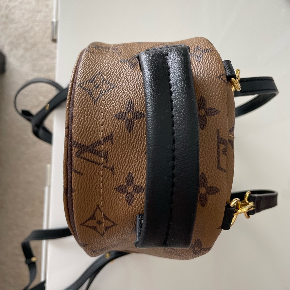 Palm Springs mini monogram reverse backpack “LV”.